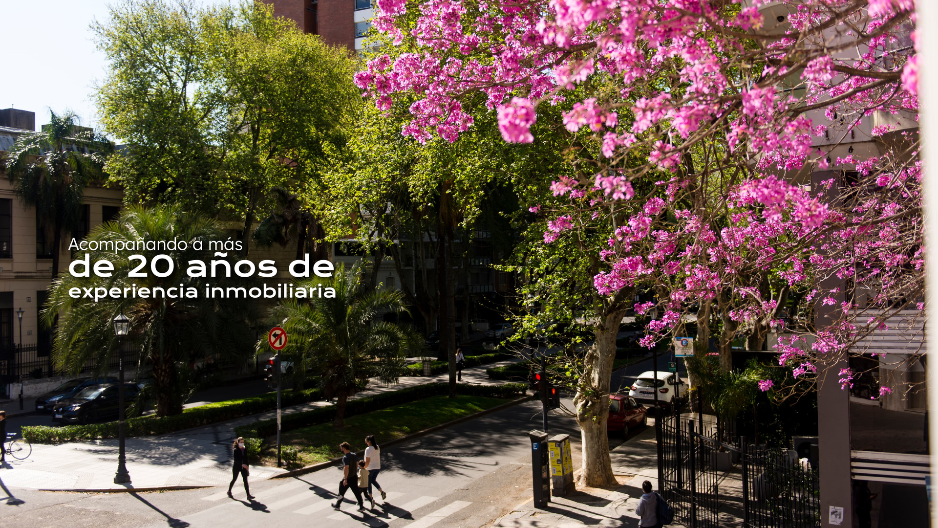 alseda branding 2