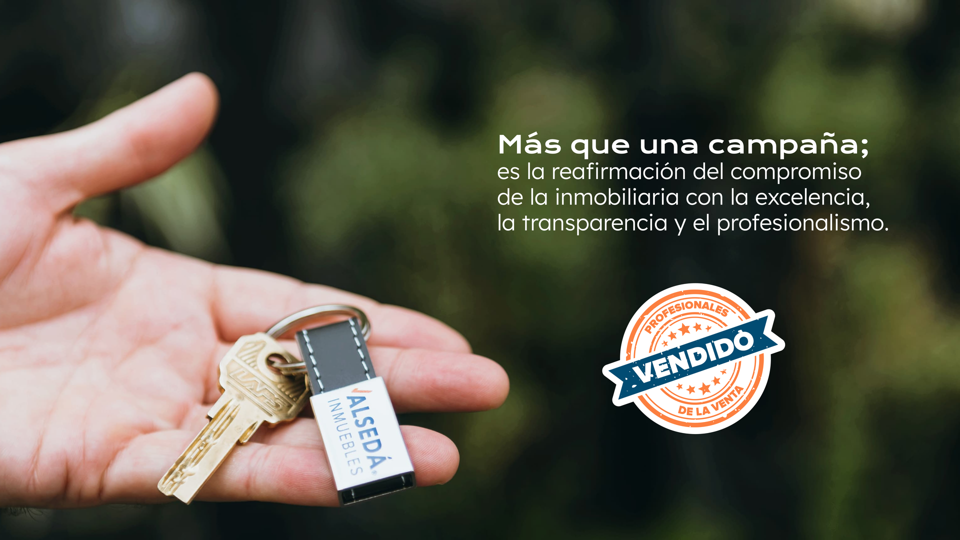 alseda branding 6