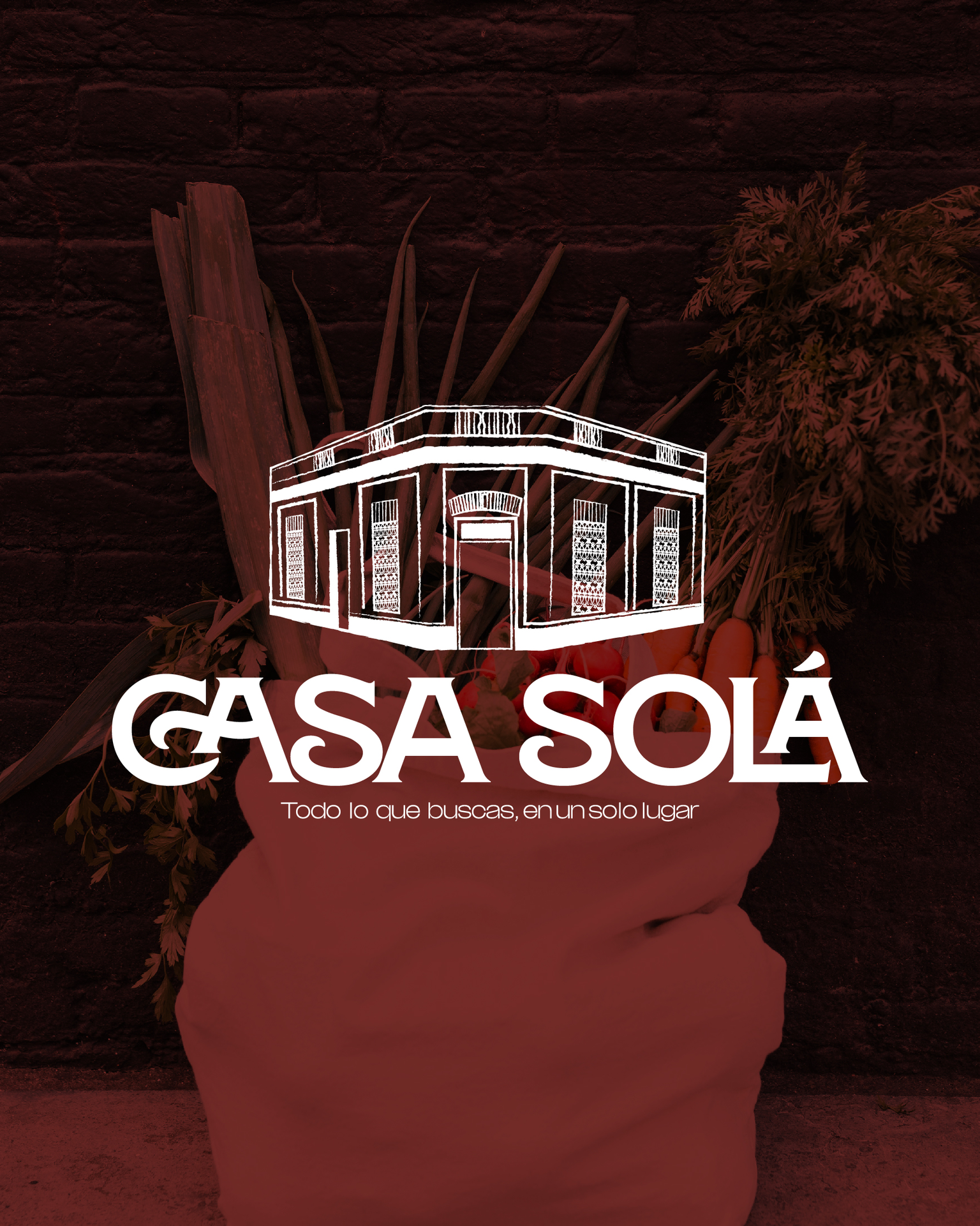 Casa Solá