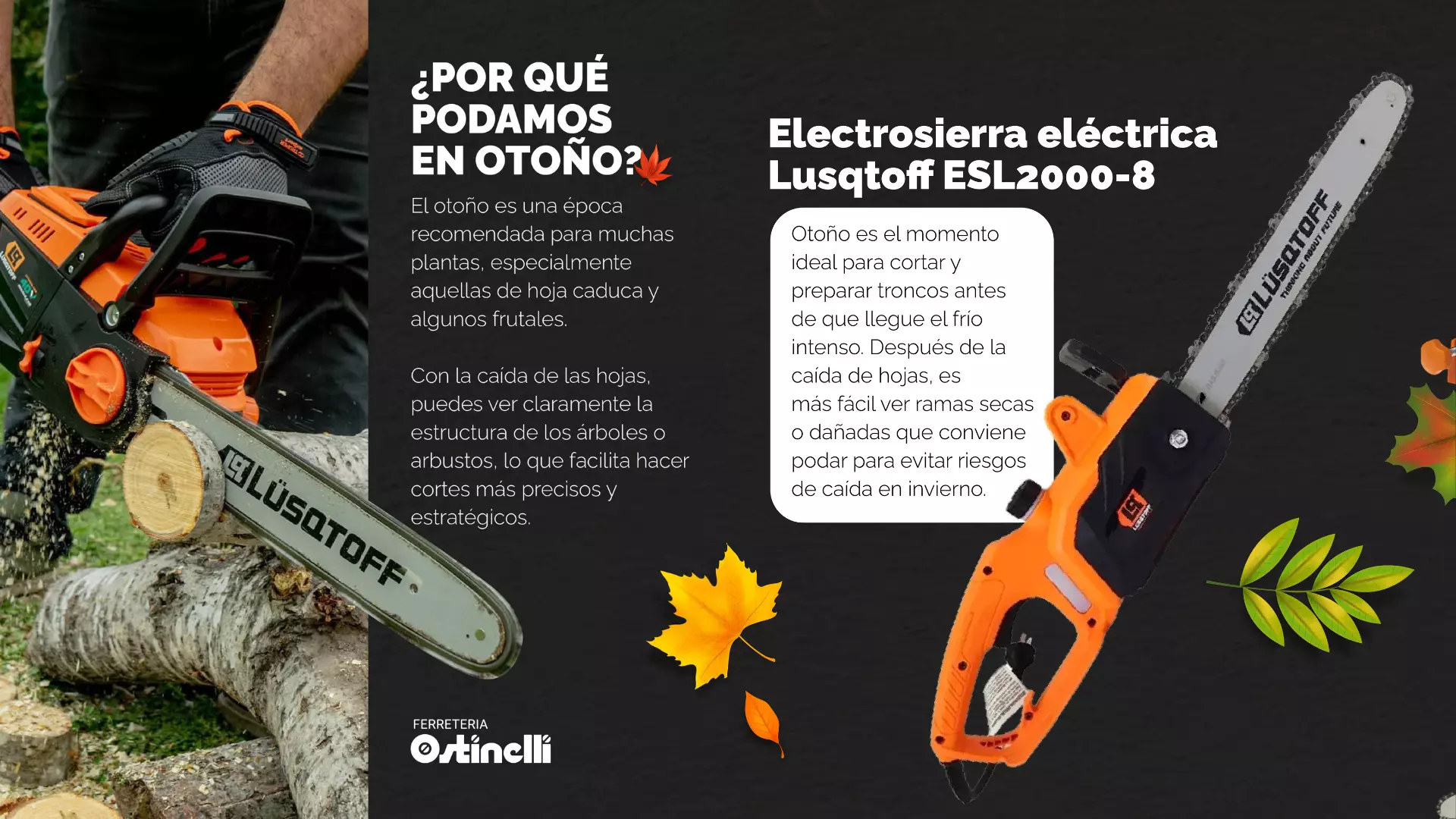 alseda branding 6